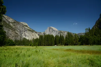 DSC_2384 (Large).JPG